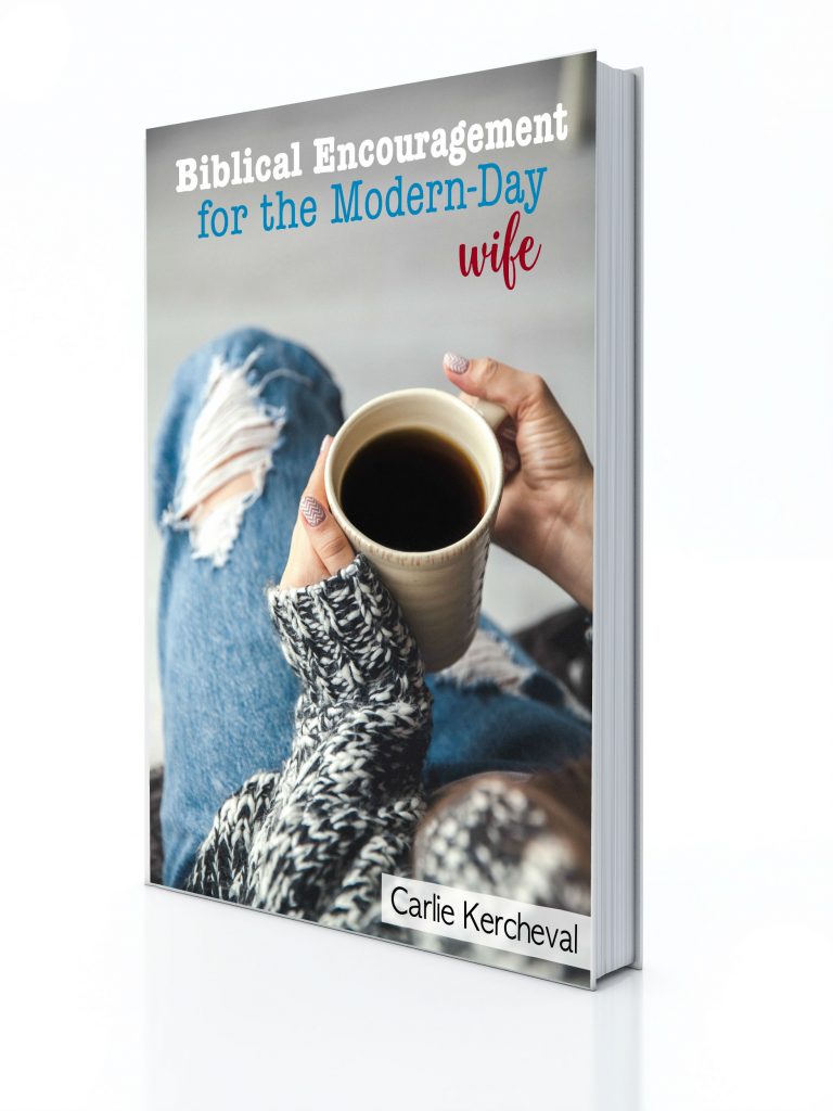 Biblical Encouragement for the Modern-Day Wife 3d Cover